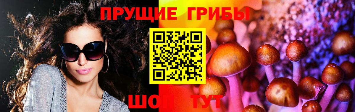 купить закладку  Псилоцибиновые грибы MAGIC MUSHROOMS  Вход с VPN  Ливны 
